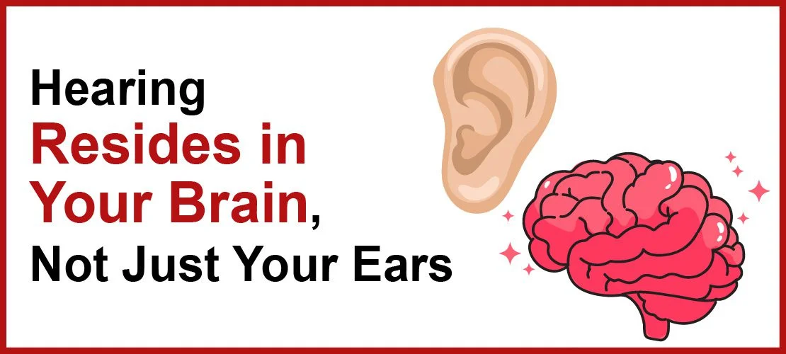 Hearing connection with Brain